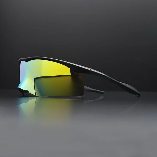 SolarWayfarer Polarized Shades