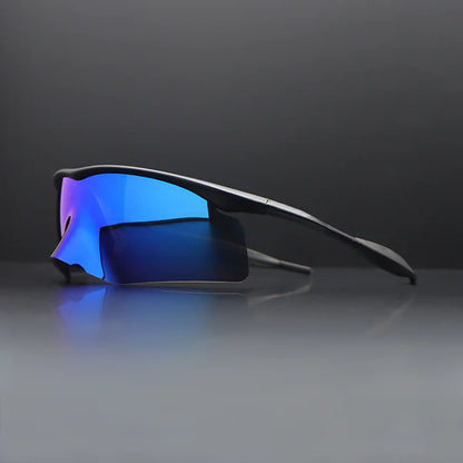 SolarWayfarer Polarized Shades